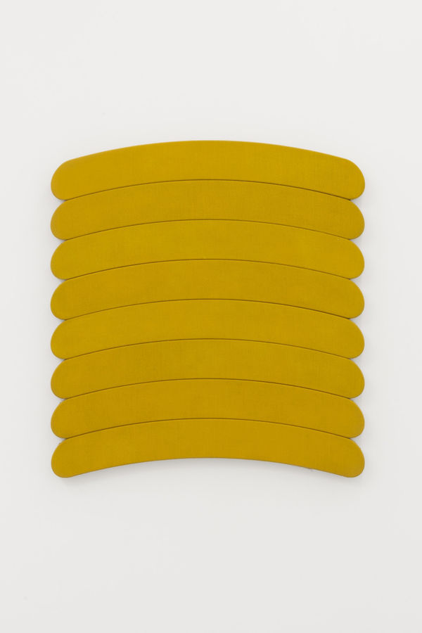 Luke Diiorio, Lion In A Coma, 2024