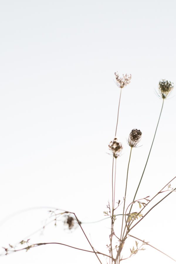 Cas Friese, No. 5351