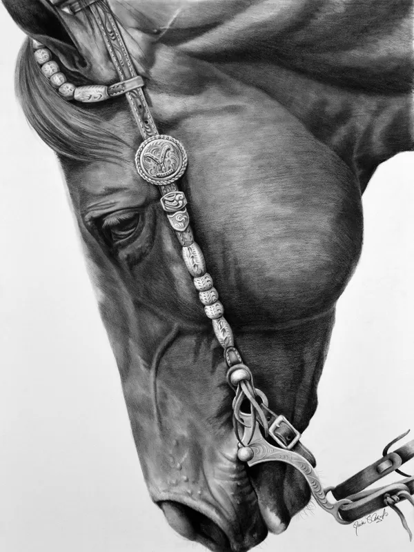 Maria D'Angelo - YELLOWSTONE