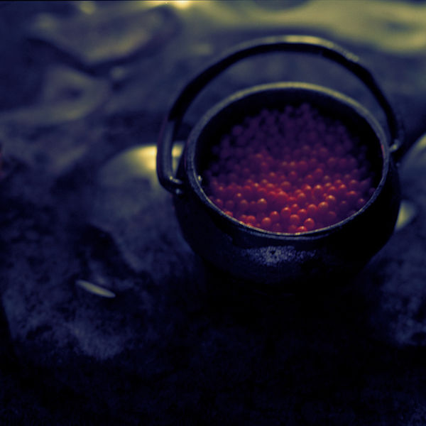 I carry sulfur on my wings Your teeth are flint Glinting beneath the milky moon