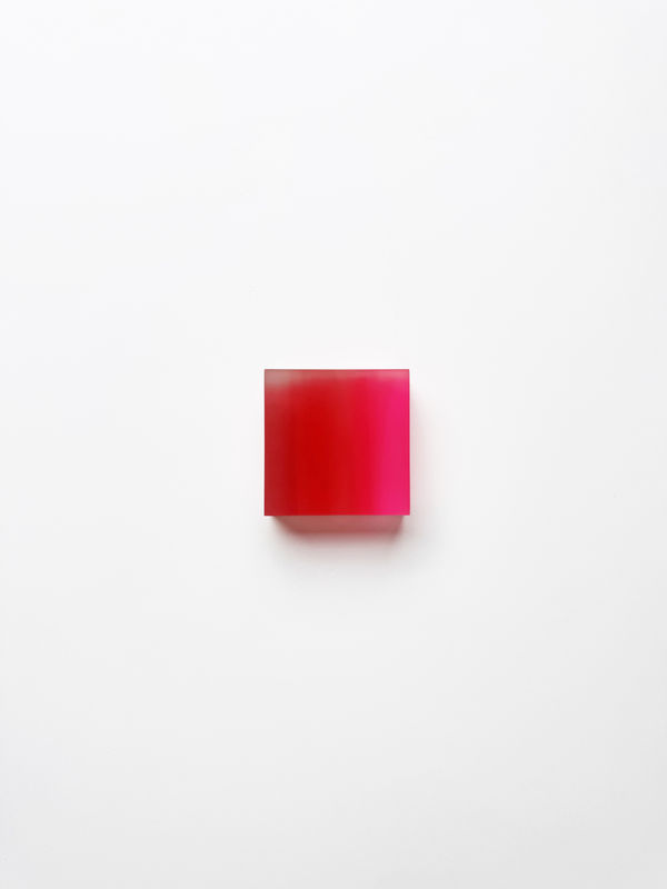 Marike Andeweg Momentum ‘Wilde Rose’ , 2026 Tulle in resin 3.8 x 3.8 inches