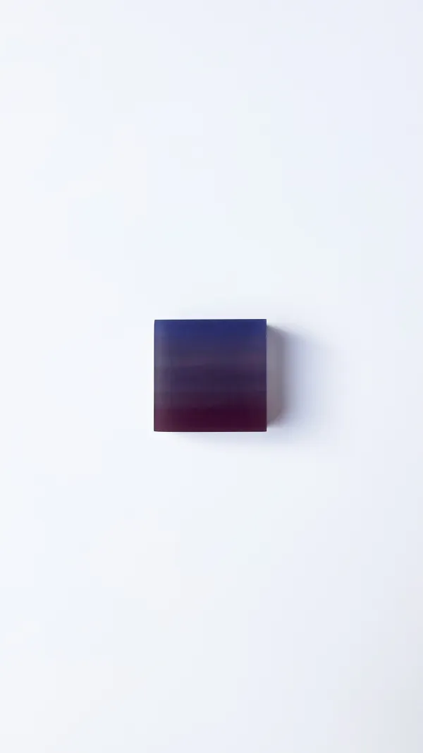 Marike Andeweg, Momentum ‘Some Plum’, 2026