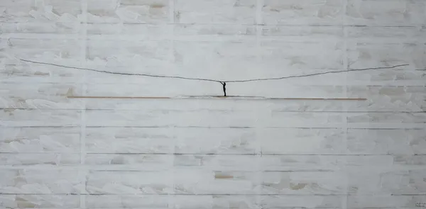 Peter Peereboom, La Femme et les Vagues VIII, 2021