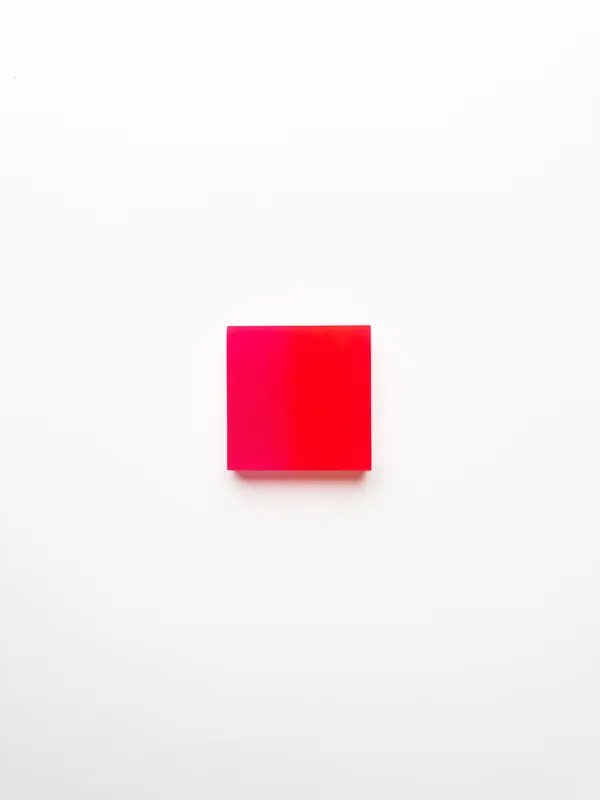 Marike Andeweg, Momentum ‘Fusion’, 2026