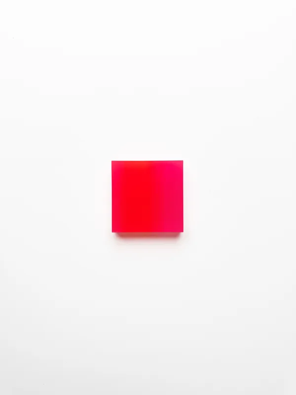 Marike Andeweg, Momentum ‘Coral Lumen', 2026