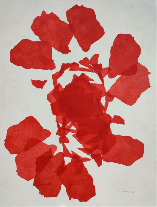 Major Kamill (1948), Hortus meus, 2022