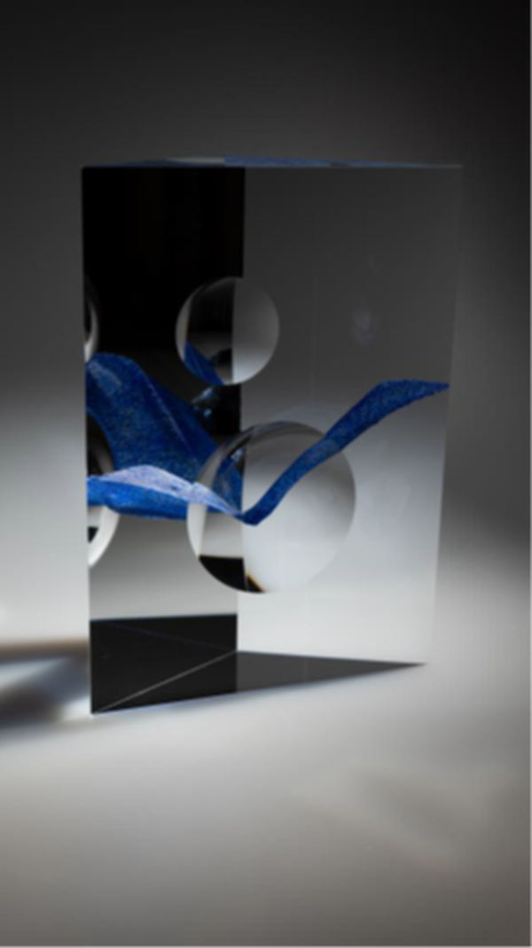 ANDREJ JAKAB, BIRD , 2012, Nr: 082202, Clear opt glass , 2 lenses and blue inner struct