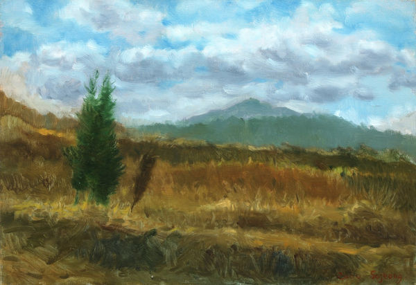 김소정 KIM, So Jeong, 구름과 나무, 2000