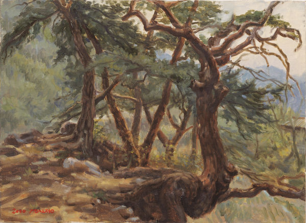 김소정 KIM, So Jeong, 굽은 소나무, 2000