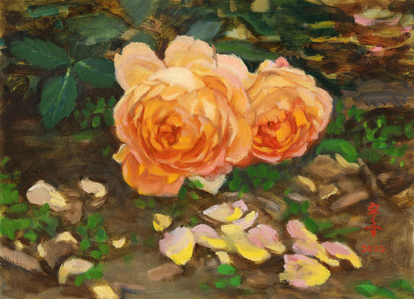 이우자, 노랑장미, ,