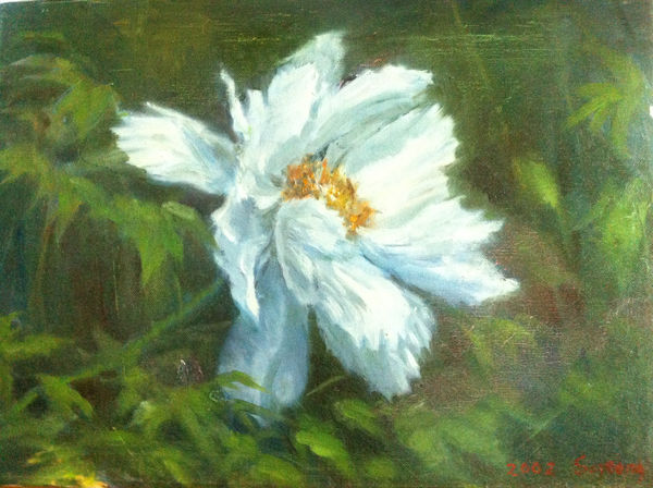 김소정 KIM, So Jeong, 하얀 목단, 2002