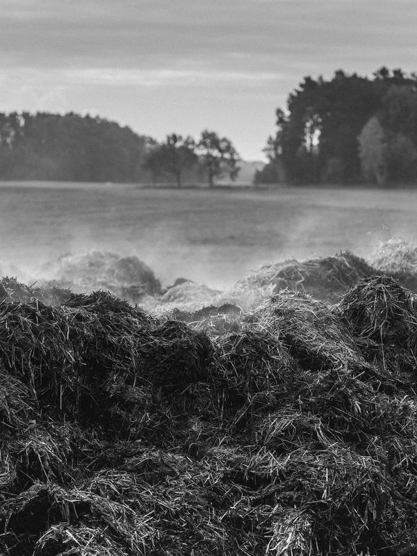 Tobias Kruse, #021, 2019