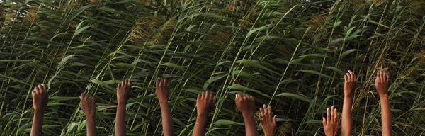 Hildegard Titus, Our hands, 2018