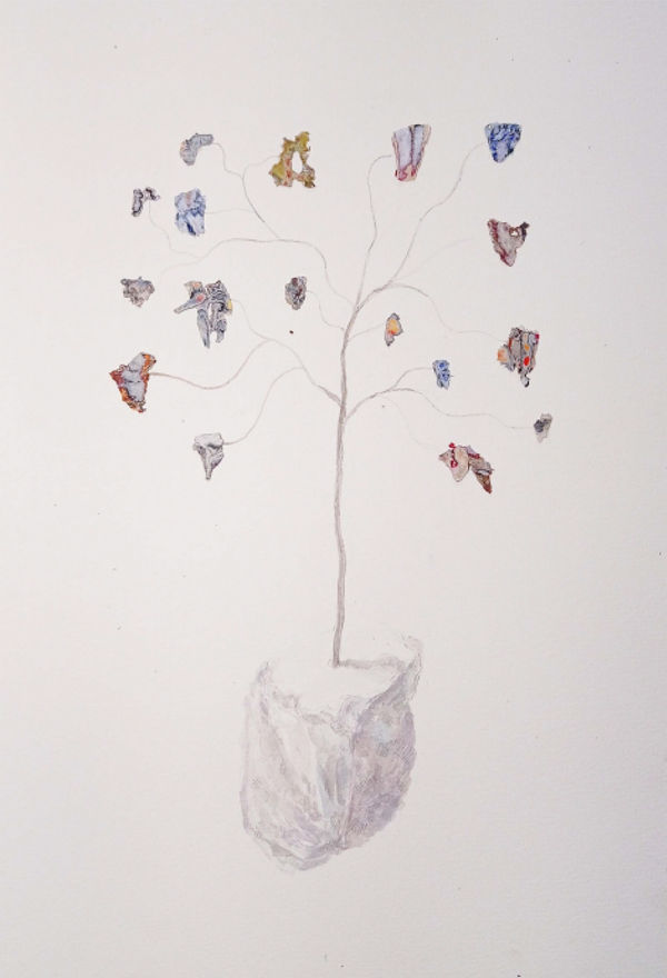 Viraag Desai, Super Bloom, 2020