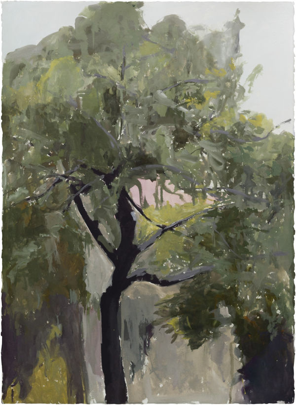 Peter Simpson, Dan's Tree, Rainy Day I, 2018