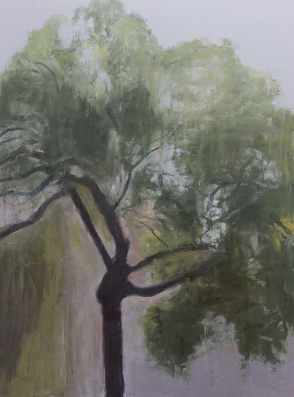 Peter Simpson, Dan's Tree, Rainy Day II, 2018