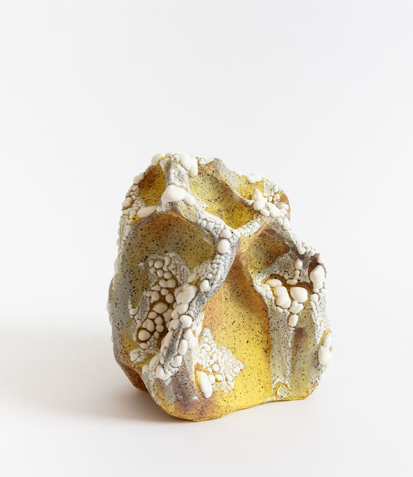 Amelia Lynch, Wattle, 2025