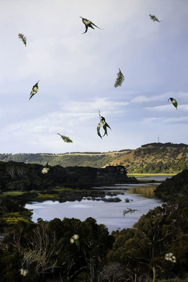 Hobie Porter, A Foreign Native / A Native Foreigner, 2015