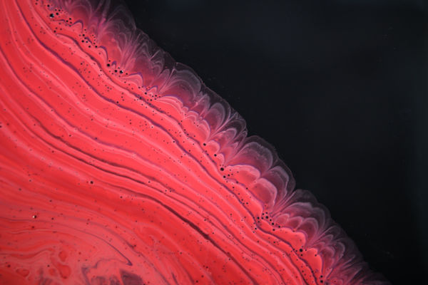 Priya Fry, Untitled, 2011