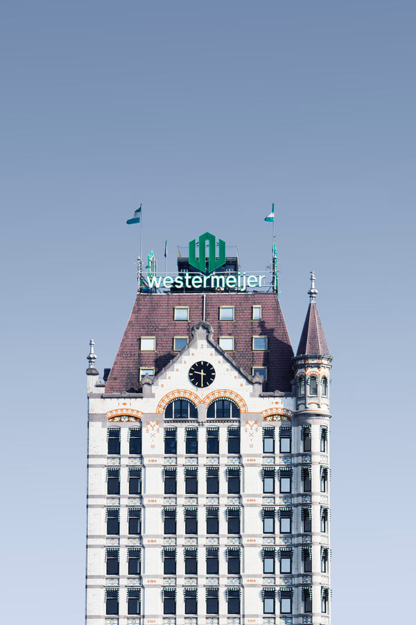 Luisa Schultz, Untitled, 2018