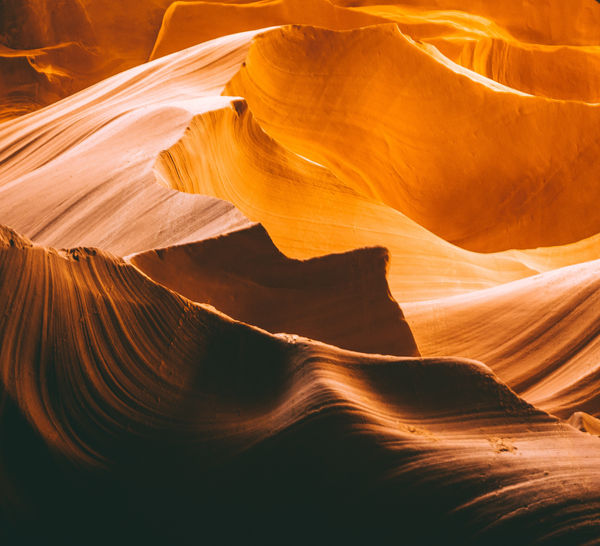 Edie Wolf, Untitled , 1998