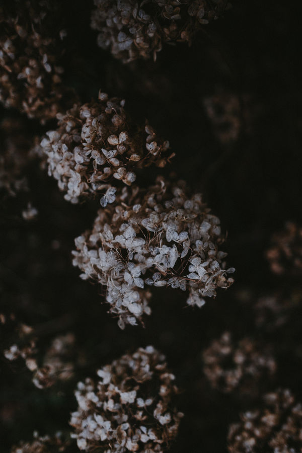 Katrina Forrest, Untitled, 2013