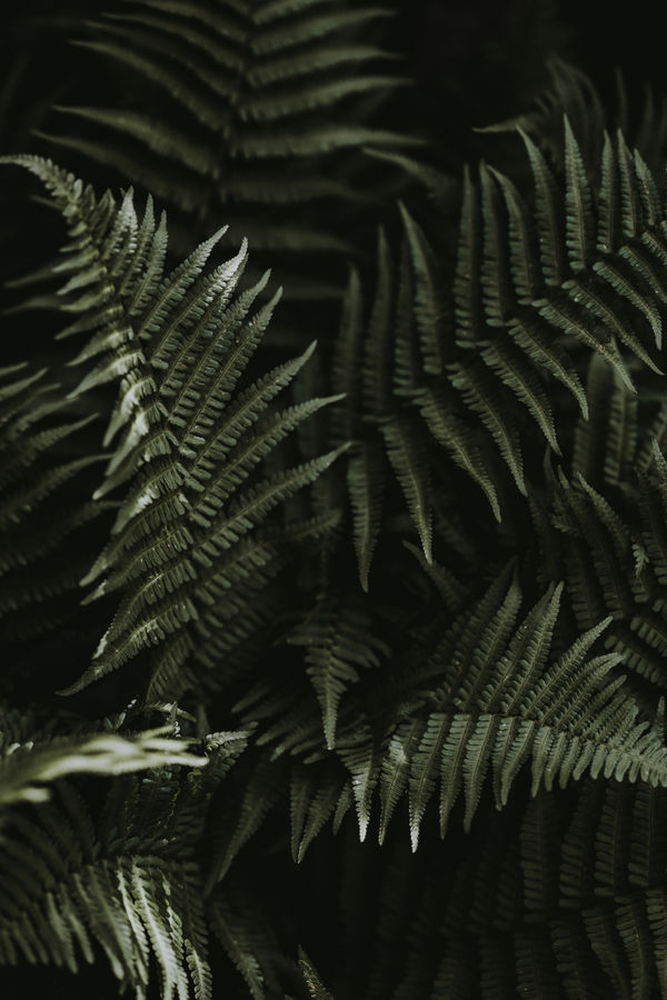 Katrina Forrest, Untitled, 2013