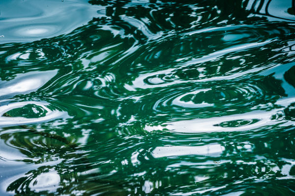 Malik Morris, Untitled, 2009