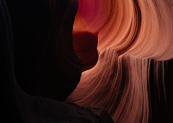 Edie Wolf, Untitled , 1998