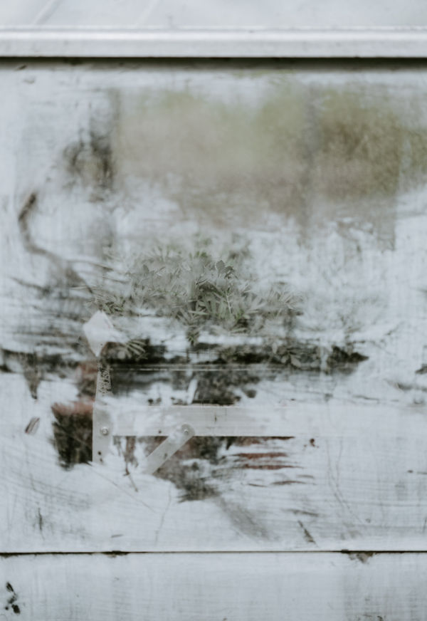 Felix Walters, Untitled, 2007