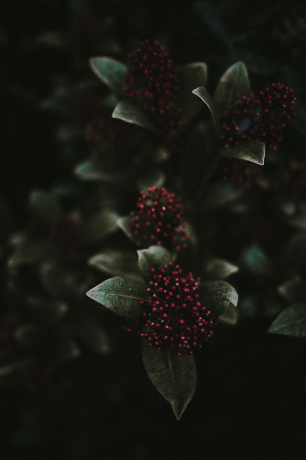 Katrina Forrest, Untitled, 2013