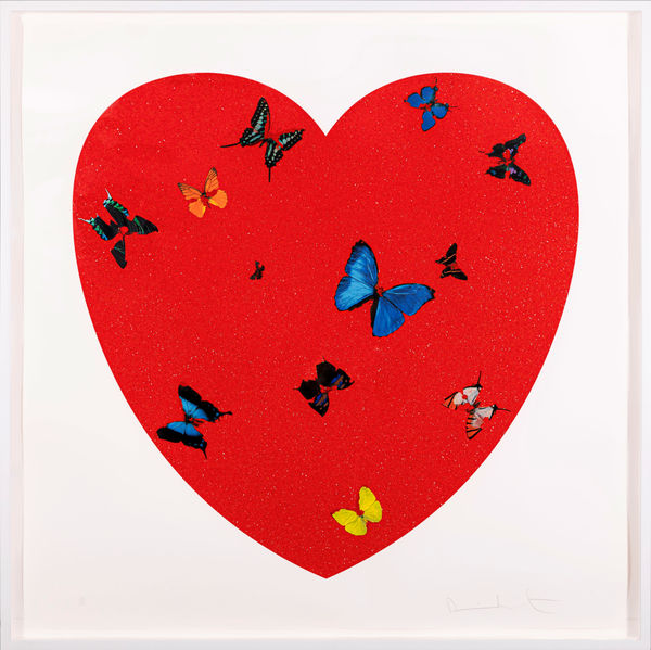 SPOTS BUTTERFLIES SPIN