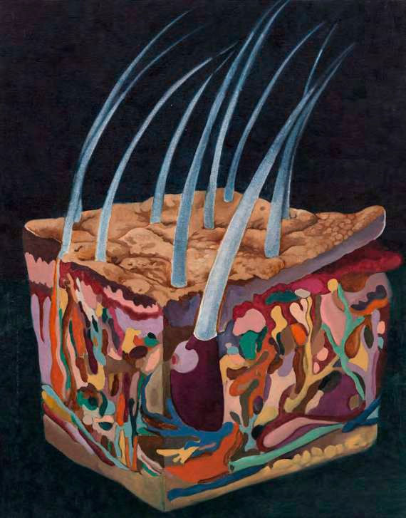 Ekin Kano, Deri Kesiti 2, 2024