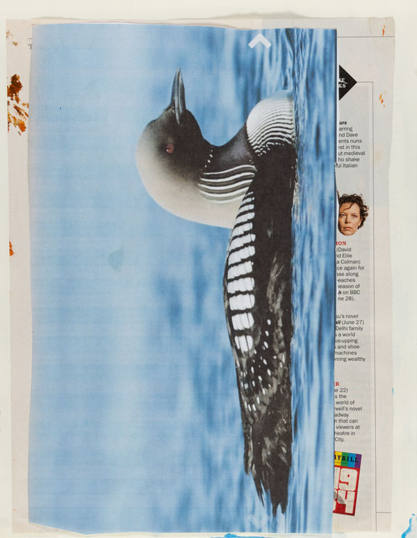 Lawrence M., Untitled (Loon/Colbert), n.d.