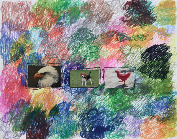 Lawrence M., The Beagle, 2022