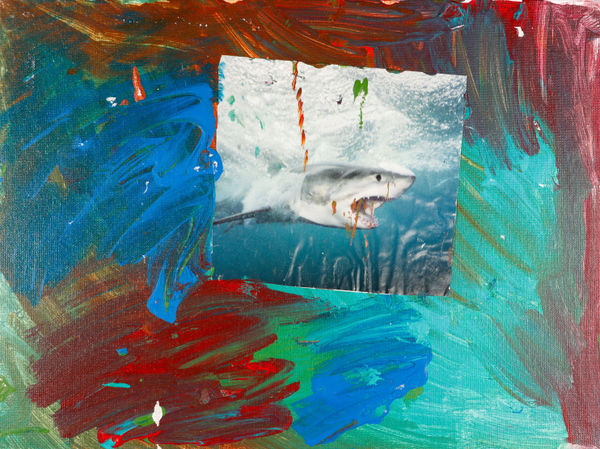 Lawrence M., Untitled (Great White Shark), n.d.