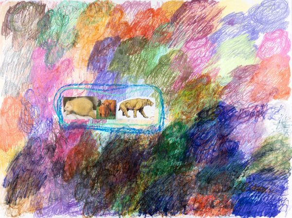 Lawrence M., Baby Yellow Porcupine, 2024