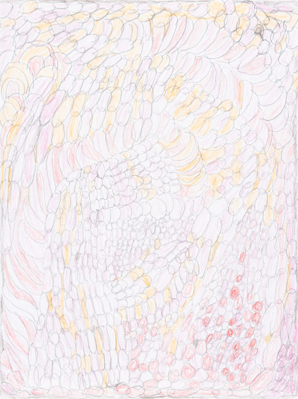 Lucy Walsh, Happy Days, 2025