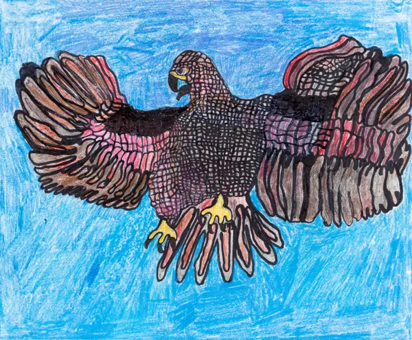 Andrew Sloan, Michigan's Redtail Hawk, 2014