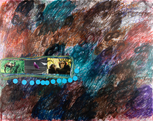 Lawrence M., Yellow African Chimpanzee, 2025