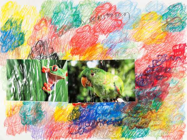 Lawrence M., Parrot, 2023