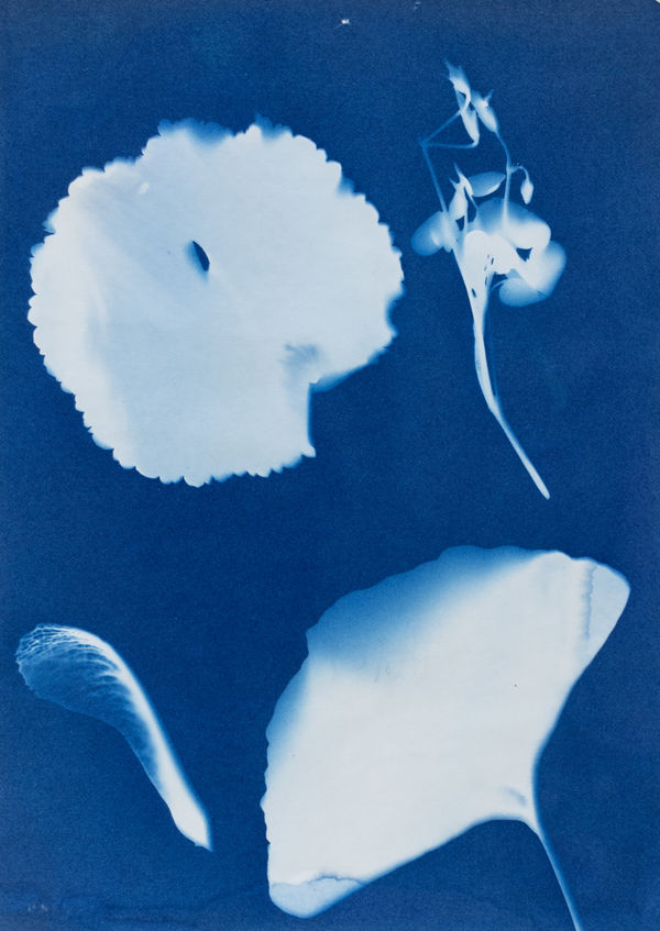 Jack O'Sullivan, Image of Blue, 2024