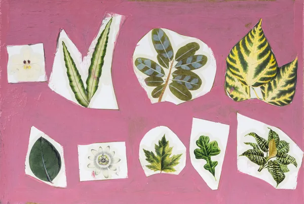 Stefan Harhaj, Leaves, 2025