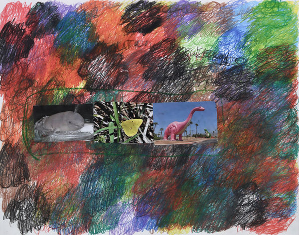 Lawrence M., Black and Yellow Butterfly, 2023