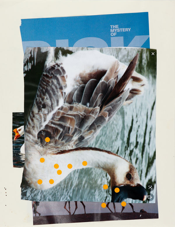 Lawrence M., Untitled (Chinese Goose: The Mystery of Risk), n.d.