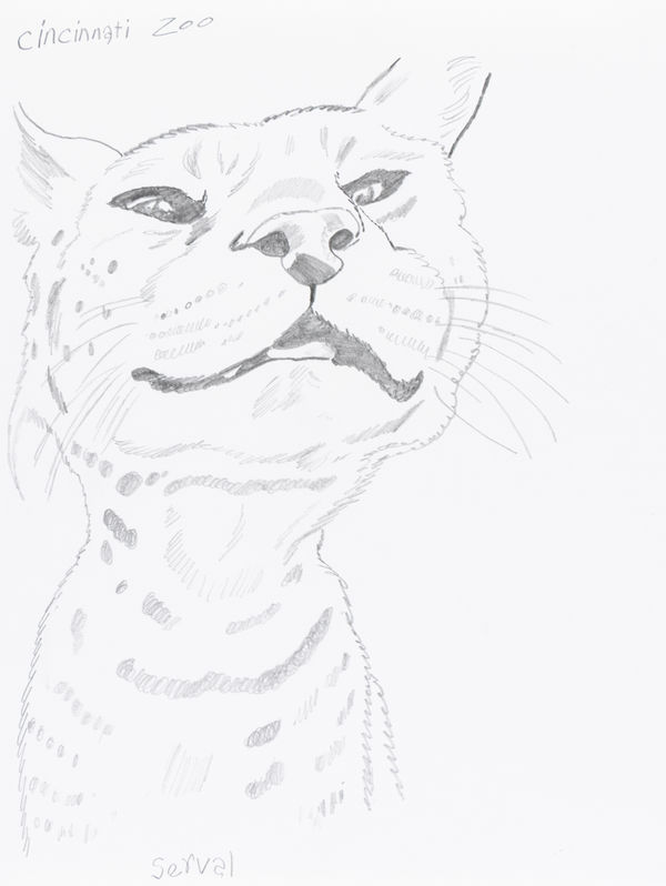 David Jarmon, Untitled, 2024