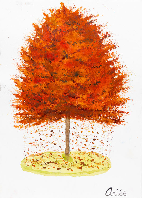 Ariée, Autumn Tree, 2022