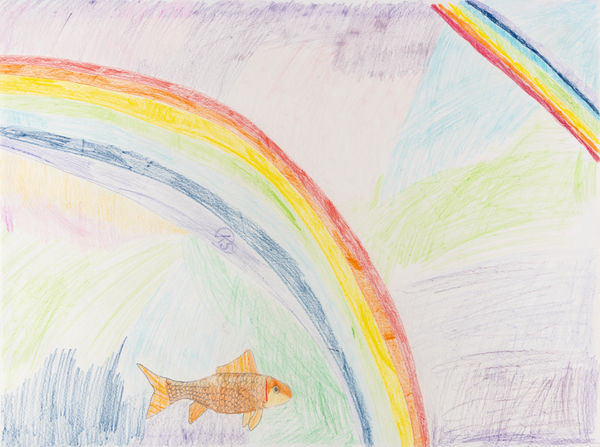 Saemee, Goldfish and Rainbow , 2016