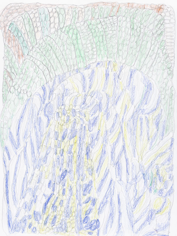 Lucy Walsh, You Who, 2025