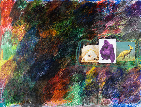 Lawrence M., Yellow Dalmatian, 2024